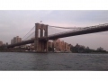 thumbs_views29