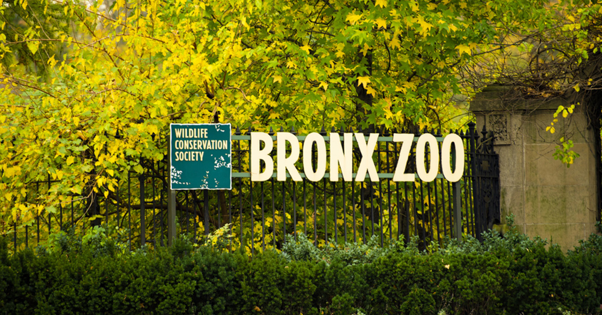 Ideas for Summer Weekends in NYC