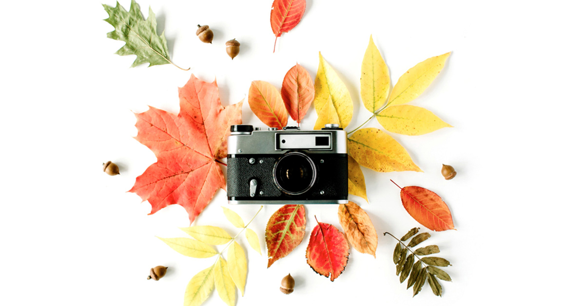 Photography Tips: Fall Foliage and NYC’s Skyline